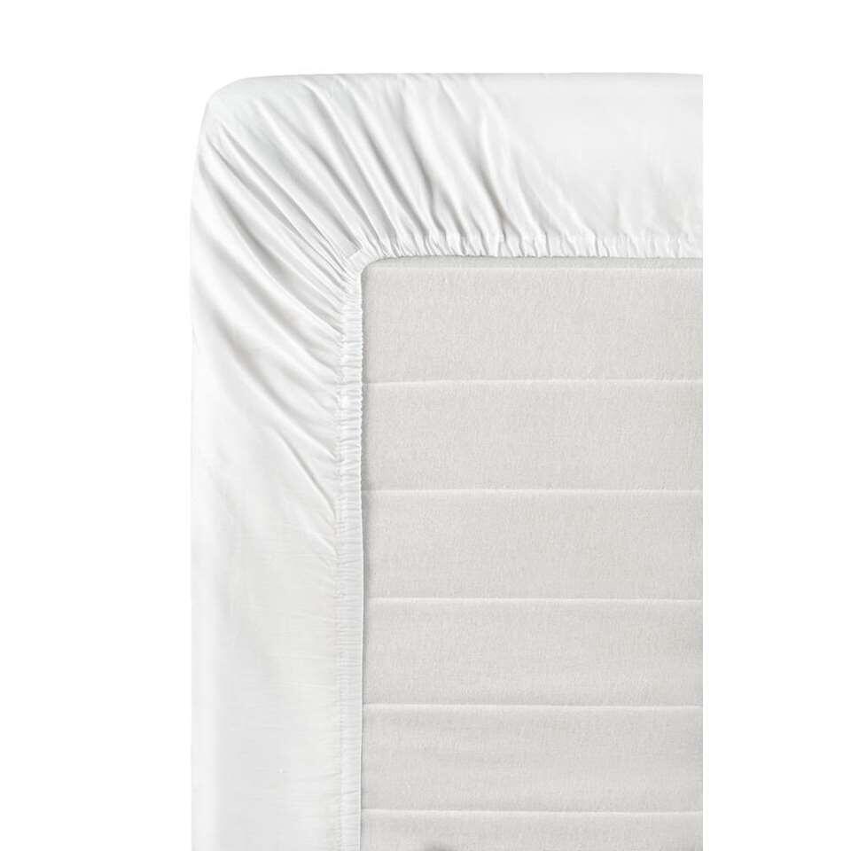 drap-housse molleton boxspring 180x200 coton/stretch blanc - HEMA