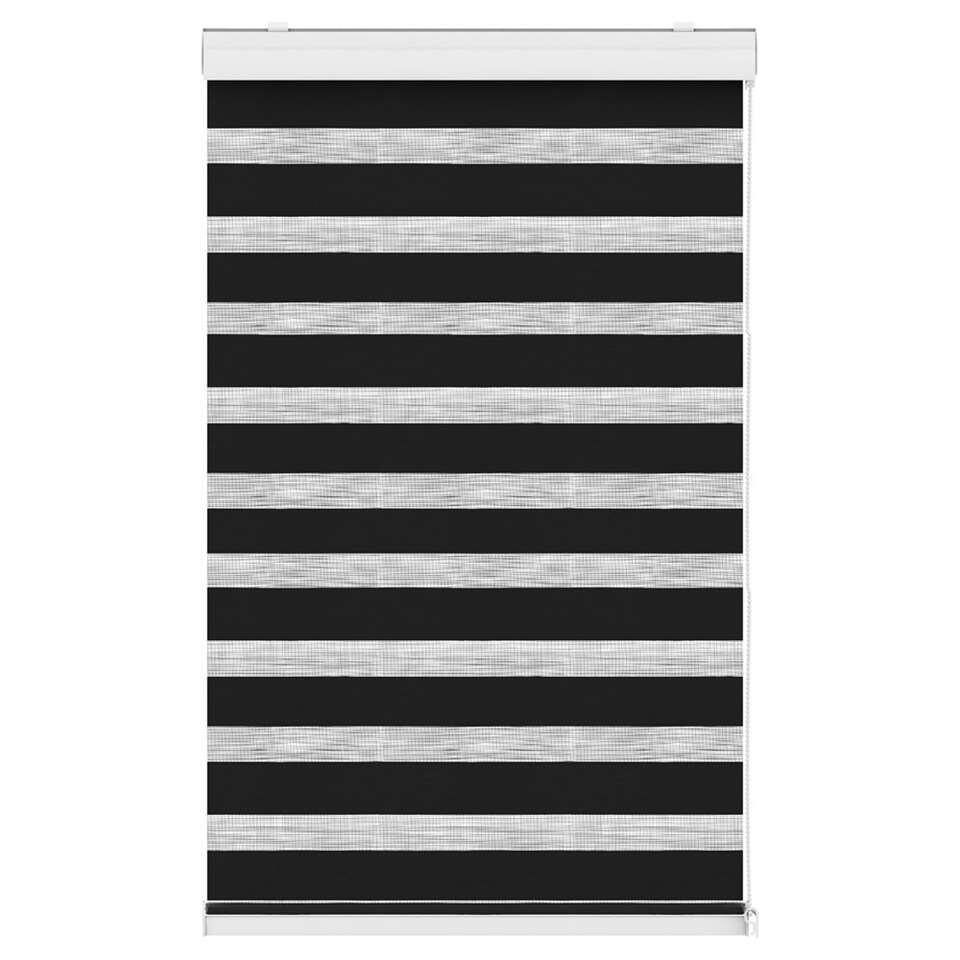 Fenstr duo-rolgordijn - zwart - 100x175 cm