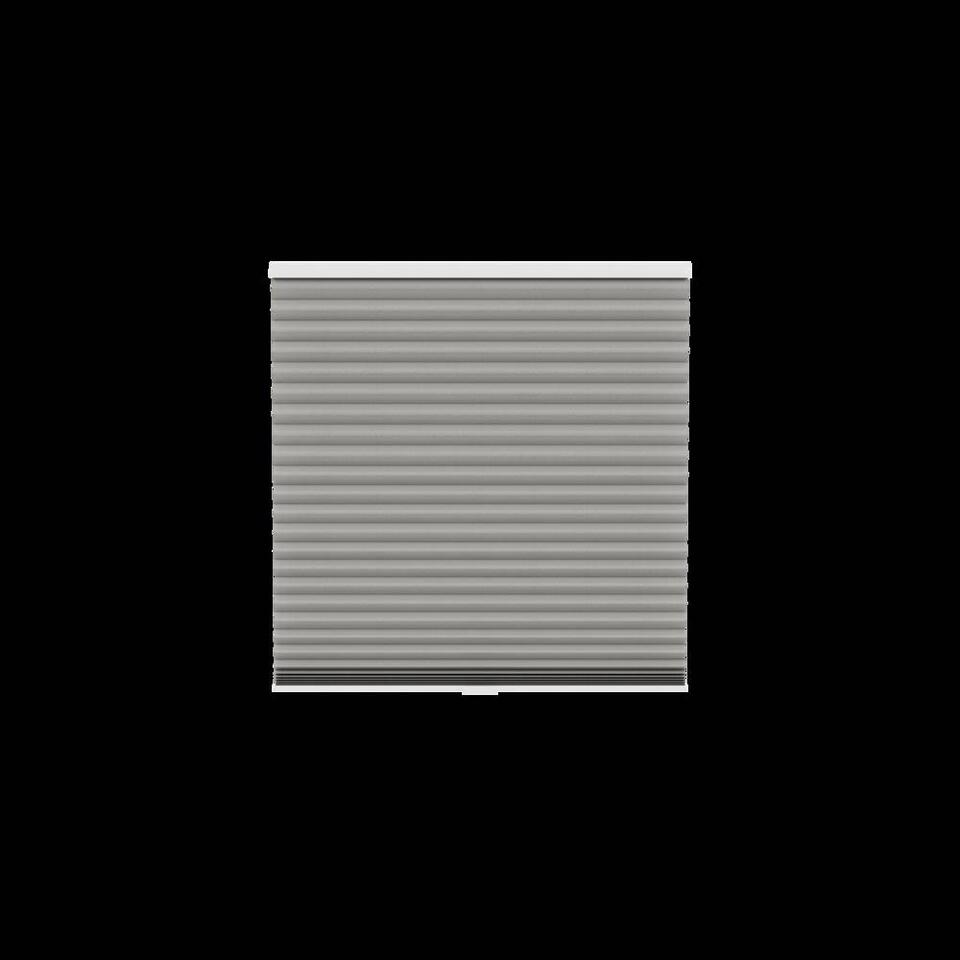 Fenstr plisségordijn Singapore dubbel 45mm lichtdoorlatend - taupe (30025)