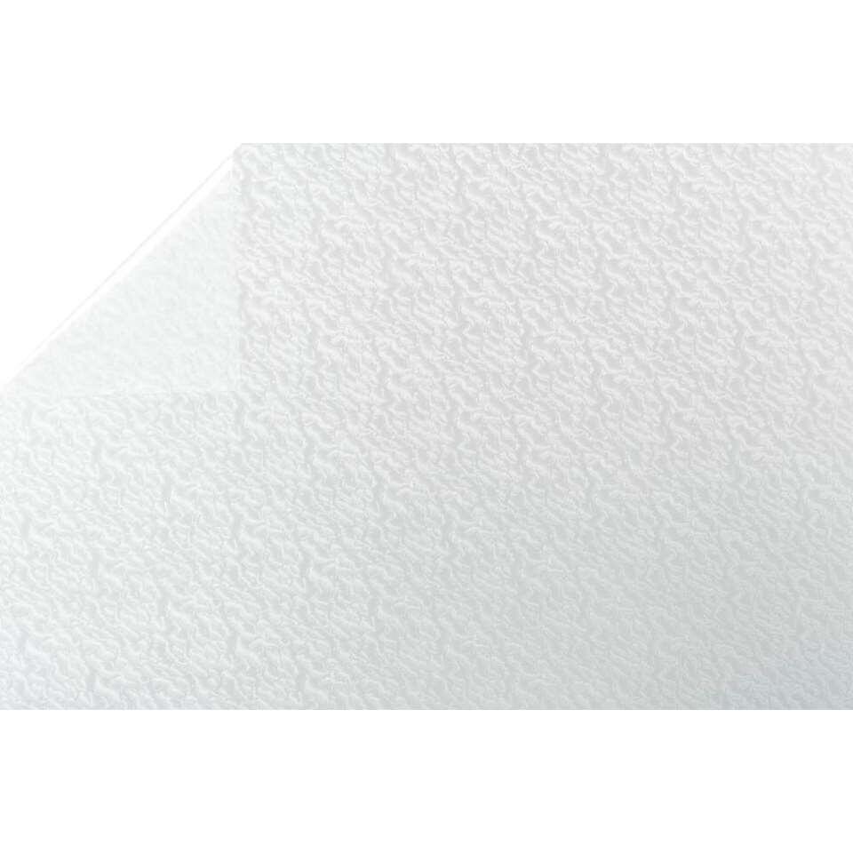 Vertrouwen Wennen aan Bijproduct Bestfix plakfolie Ice Flower - transparant - 67,5 cm | Leen Bakker