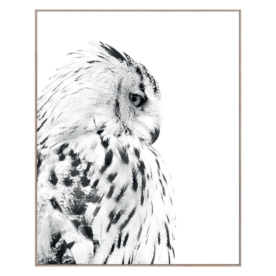 Pin van Sally Morton op zwart wit inkleurplaten vogels | Vogel schilderijen,  Dierlijke schilderijen, Dieren tekenen
