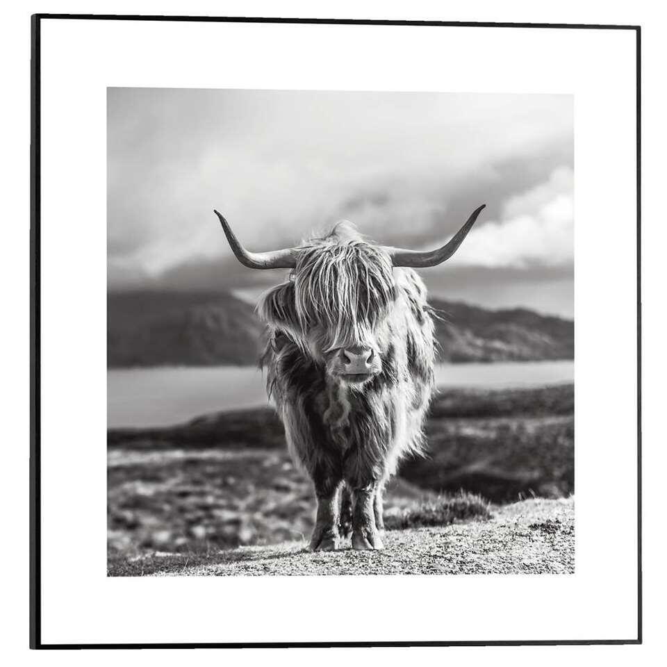 Cadre Photo - MuchoWow - Paysage - 60x40 cm - Highlander écossais Montagne  Eau Nature Vache - Multicolore